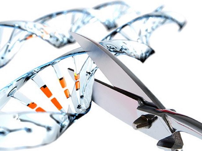 Фото - Ученые нашли необычное применение редактору генома CRISPR