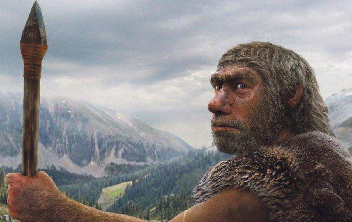 Фото - Ученые: «К концу 2018 года мы вырастим мозг неандертальца»