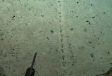 Фото - На дне океана найдены загадочные отверстия. Кто их сделал и зачем?