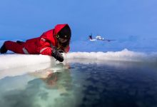 Фото - Волонтеры «Чистой Арктики» собрали 50 тонн отходов на Земле Франца-Иосифа