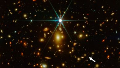 Фото - Астрономы обнаружили старейшее звездное скопление во Вселенной