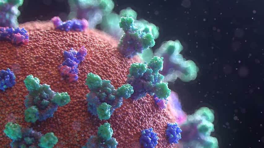 Фото - Комиссия Lancet допустила сценарий утечки коронавируса из лаборатории
