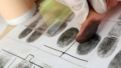 Фото - Ученые нашли способ определить «возраст» отпечатка пальцев на предмете