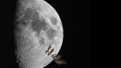 Фото - В «Роскосмосе» рассказали о переносе первого за полвека запуска миссии РФ к Луне