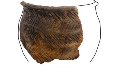 Фото - В Шотландии нашли горшок каменного века со следами молочной каши