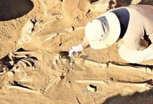 Фото - В Турции археологи обнаружили похороненного в амфоре ребенка