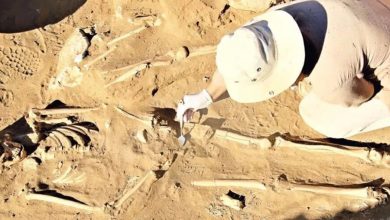 Фото - В Турции археологи обнаружили похороненного в амфоре ребенка