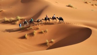 Фото - Какова толщина слоя песка в пустынях Земли
