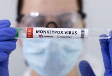 Фото - Российские ученые создали препарат против оспы обезьян с помощью «нобелевской» клик-химии
