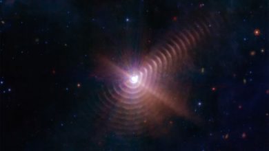 Фото - Телескоп James Webb сфотографировал космические «годичные кольца» звезды