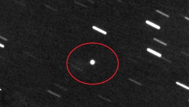 Фото - В NASA обнаружили 30 тыс. опасных астероидов, приближающихся к Земле