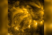 Фото - В сети появилось видео плазмы Солнца в рекордно высоком разрешении