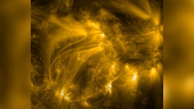 Фото - В сети появилось видео плазмы Солнца в рекордно высоком разрешении