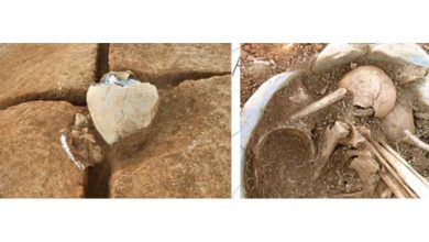 Фото - Археологи нашли погребенные в кувшине VI века останки предков современных корейцев