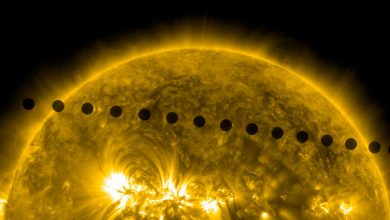 Фото - Астрономы предположили, что Земля «сгорит» так же, как Венера