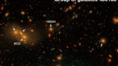Фото - Астрономы зафиксировали свечение между далекими галактиками