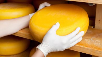 Фото - Микробиолог Рогов допустил, что сырные закваски можно использовать в качестве биооружия