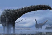 Фото - Палеонтологи нашли новый вид динозавров в Румынии и не могут понять, как он туда попал